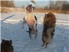 Аватара пользователя